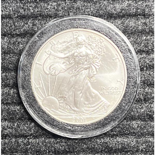 2001 American Silver Eagle In Case