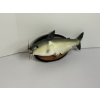 Image 1 : 2000 Gemmy Cool Catfish - Wall Hanging Singing Catfish- In Good, Working Condition! 