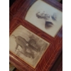 Image 8 : Antique Picture Album With Mostly Cabinet Photos & Some Tin Types