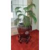 Image 11 : Select Here To View A Sampling Of Featured Items In This Auction!