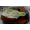 Image 1 : 2 Pcs - Billy Bass Animated Singing Wall Plaque  (Works) & Grandma's Fish Story Wall Plaque