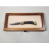 Image 1 : Buck USA 110 Hunter Knife With Gold-Tone Accents in Nice Glass-Top Display Case