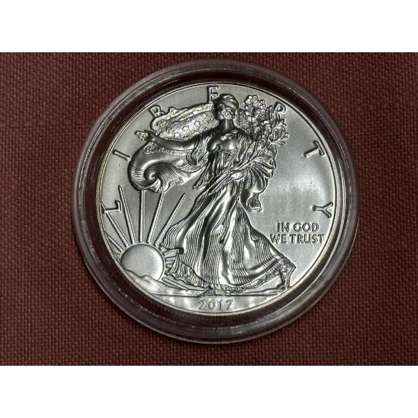 2017 American Silver Eagle - 1Toz .999 Silver