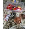 Image 1 : PICKUP IN NORTHFIELD - As Shown Kitchen Items - Cookie Cutters (Everything Pictured) - See Pics