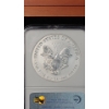 Image 5 : NGC 2006-P PF 69 20th Anniversary Reverse Proof 1 Troy Ounce .999 Fine Silver Eagle Coin From Set