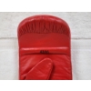 Image 6 : SHAWN PORTER Hand Signed Everlast Glove in Good Shape!