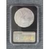 Image 2 : NGC MS70 2023-W Burnished 1 Oz Silver Eagle - First Day of Issue - 2023 Special Edition Label 