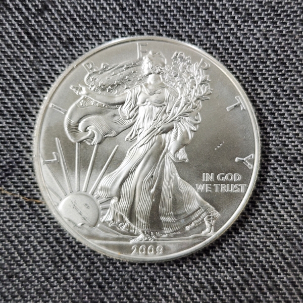2009 United States 1 Oz .999 Fine Silver American Eagle Round ~ Mint Condition!