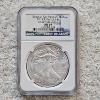 Image 1 : NGC MS69 Graded 2013(S) .999 Fine Silver 1oz. Eagle