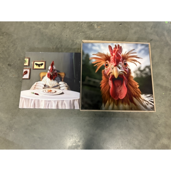 Chicken Wall Hanging Photos - One Frame is Broken - Chicken Eating an Egg - Wild Chicken - 20x20" 