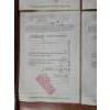 Image 9 : Lot of Six 1960's Grand Union Company 100 Shares Stock Certificates 