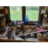 Image 3 : *Pick Up At Louisville Home - No Shipping Available* Contents Of Kitchen Cabinets & Countertop. Incl