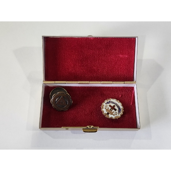 Two Collectible Pins in a Gold-Tone Case
