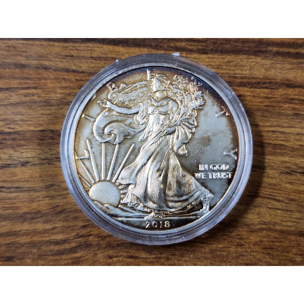 2017 American Eagle 1 Oz .999 Fine Silver Round in Protective Case