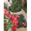 Image 5 : 6 Containers of Christmas Decor incl Long Garlands, Ornaments and More