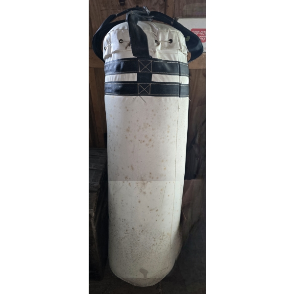 Hanging Punching Bag
