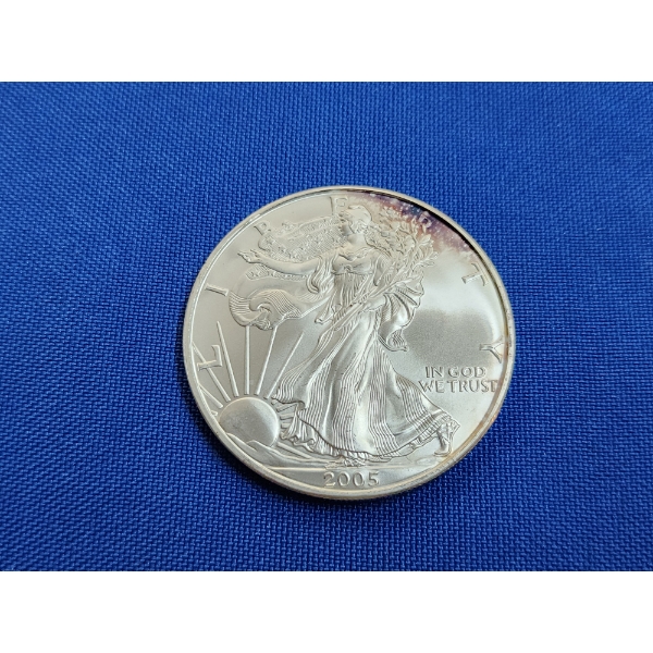 2005 Silver $1 American Eagle 1 oz Fine Silver Coin