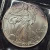 Image 1 : 2006 United States Silver 1 Oz  .999 Eagle Uncirculated