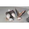 Image 9 : Assorted Decorative Eagle Figures