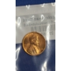Image 8 : (10) Assorted United States Cents In Sealed Littleton Bags -Most Uncirculated - Face Value: $0.10