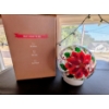 Image 1 : Pointsetta Oil Diffuser