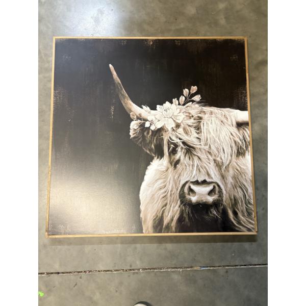 Highland Cow Photo Canvas - 27.5x27.5" 