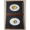 Image 1 : Set of 2 Embossed Fish Paintings - 10"x13" Each