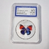 Image 1 : 2007 China Chen Baocai World Wildlife Red & Blue Butterfly Silver Clad IGS MS70 PR-Like