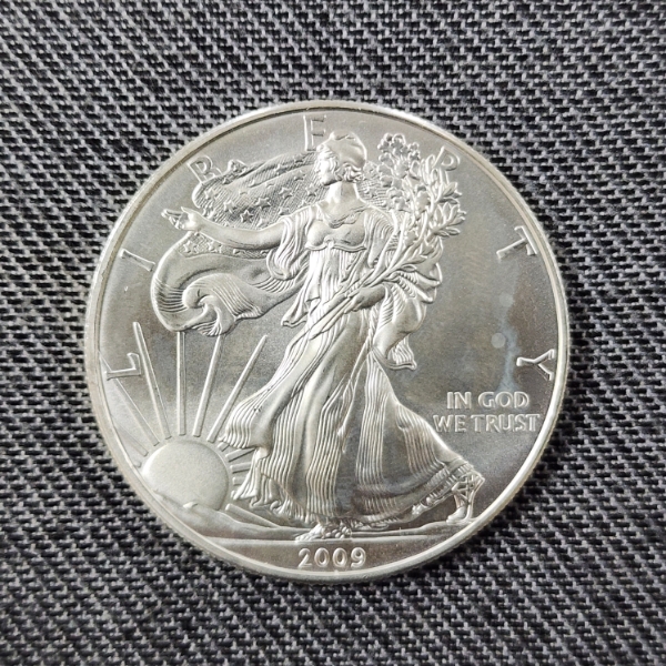 2009 United States 1 Oz .999 Fine Silver American Eagle Round ~ Mint Condition!