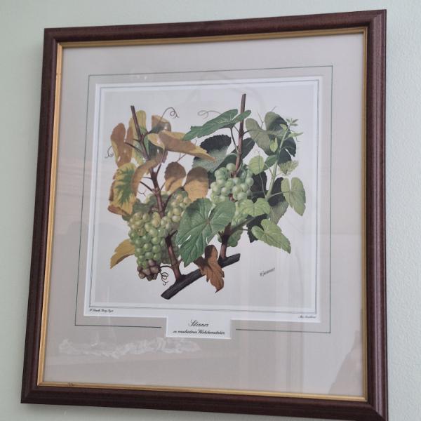 PICKUP IN NORTHFIELD - Pair Of Floral Prints 17 x 18 O/A Image 11 x 11 Inches - See Pics