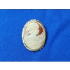 Image 1 : Vintage Shell Cameo Brooch/Pendant TW: 5.5g