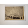 Image 2 : 1968 Topps All Star Orlando Cepeda Baseball Card - Excellent Condition in Holder