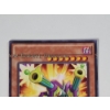Image 2 : Unique ERROR Toon Barrel Dragon (DOCS-EN038) 1st Edition Yu-Gi-Oh Trading Card 
