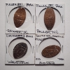 Image 1 : Four Collectible Souvenir Rolled Pennies Ft. Pullen Park, Evergreen State & Baltimore Maritime Mus.