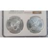 Image 2 : NGC 2021 MS 70 1 Troy Ounce .999 Fine Silver U.S American Eagle 2-Coin Set - Type 1 & Type 2