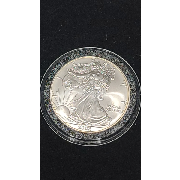 2002 United States 1 Oz Silver Eagle In Protective Capsule