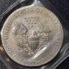 Image 2 : 2008 Uncirculated United States Silver .999 1 Oz Eagle