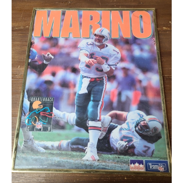 1992 Dan Marino 16x20 Starline NFL Framed Poster