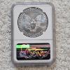 Image 2 : NGC MS69 Graded 2020 .999 Fine Silver 1oz. Eagle