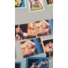 Image 4 : 1980's Topps WWF Pro Wrestling Stars Trading Cards