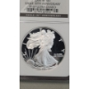 Image 2 : NGC 2006-W PF 69 ULTRA CAMEO 20th Anniversary 1 Troy Oz .999 Fine Silver American Eagle From Set