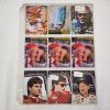 Image 10 : 12 Binder Pages of Assorted Racing & Nascar Trading Cards