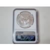 Image 3 : NGC MS70 2019-W Burnished Silver Eagle 1 oz .999 Fine Silver 
