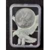 Image 4 : NGC MS70 2022 Silver 1 Oz American Eagle in Unique Slab Holder