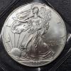 Image 1 : 2004 United States 1 Ounce .999 Silver Eagle - Uncirculated