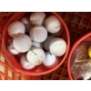 Image 5 : *Pick Up At Mantua Home-No Shipping Available* Tons of Golf Balls with Orange Crate