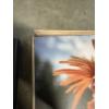 Image 6 : Chicken Wall Hanging Photos - One Frame is Broken - Chicken Eating an Egg - Wild Chicken - 20x20" 