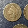 Image 2 : Group indian Cents -- 1879  Thru 1885 - See Pictures