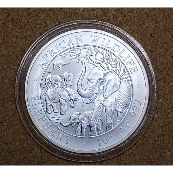 Rare 2008 Somalia 100 Shillings African Wildlife 1 Oz 999 Silver Elephant Coin-Mintage Of Only 5,000