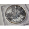 Image 2 : 1999 United States 1 Troy Oz American Eagle .999 Fine Silver Round in Protective Case